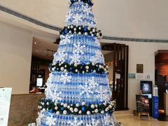 -红棉中餐厅·广州海航威斯汀酒店