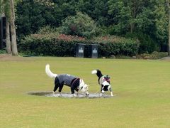 -上海海湾国家森林公园