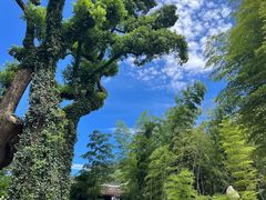 -岳麓山风景名胜区