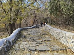 -阳台山自然风景区