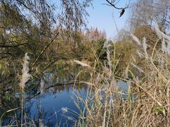 -贵阳市花溪国家城市湿地公园