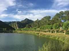 -芦芽山旅游度假区