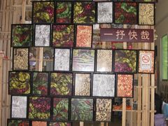 -小洲村