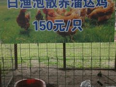 -白渔泡湿地公园