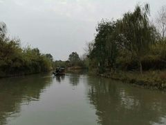 -溱湖国家湿地公园