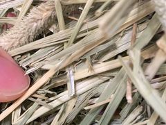 -龙猫仔乐园(惠福东路店)