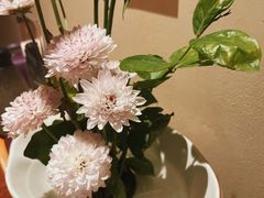 -和枫(众意路店)