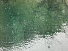 -白云源风景区