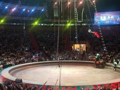 -俄罗斯国家大马戏团