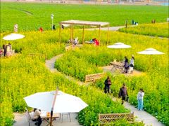 -中国天府农业博览园