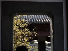 -钱王祠