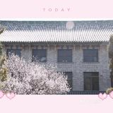 ♥╣[-_-]╠♥毕业高薪的医学院，我想去！！