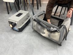 -贝利宠物医院·骨科·眼科·肿瘤转诊中心(南坪诊疗中心)