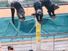 -清迈夜间动物园