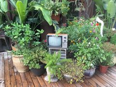 -胡桃里乐队酒馆(鎏嘉码头店)