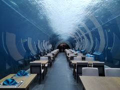 -海棠湾洲际-涛·海底餐厅·美人鱼·自助餐·海底隧道