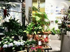 -豆豆花艺(新光天地店)