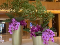 -上海浦西万怡酒店