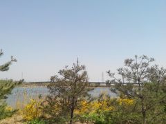 -永定河休闲森林公园