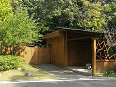 -广州市流溪河国家森林公园