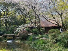-中国茶叶博物馆(双峰馆区)