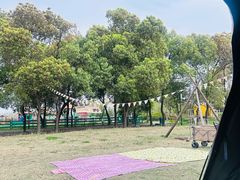 -田园东方蜜桃村的田野营地