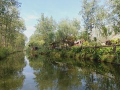 -合肥滨湖国家森林公园