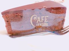 萨赫蛋糕-中央咖啡馆