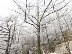 -崂山巨峰游览区