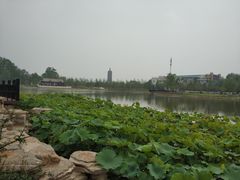 -西海子公园