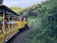 -济州森林小火车生态公园