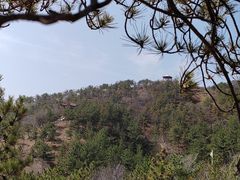 -乌素图国家森林公园