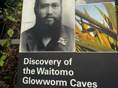 -怀托摩萤火虫洞