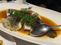 -南麓·浙里(外滩店)