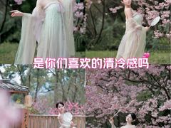 -南山植物园
