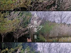 -仙海旅游度假区