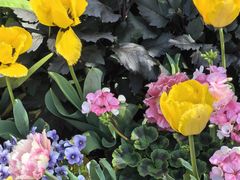 -徐家汇源景区-衡山公园