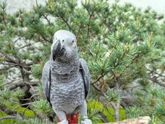 -宁波市保国寺古建筑博物馆
