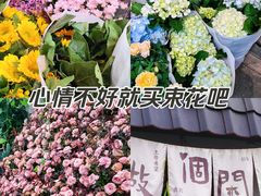 -溪岸路花鸟市场