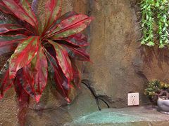 -醉小酒馆·川菜·江湖菜·重庆菜(观音桥旗舰店)