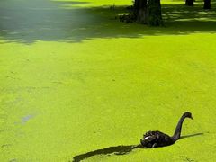 -CGWANG王氏教育(上海校区)