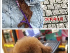 -爱侣宠医·鹦鹉专科·小型哺乳类·异宠专科(灵石路店)