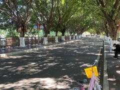 -广东花都湖国家湿地公园