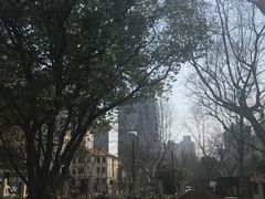 -徐家汇源景区-衡山公园