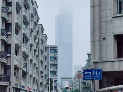 -紫峰大厦