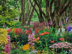 -上海共青森林公园