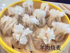 -阿玥凉手抓(宁东中凯中心广场店)