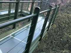 -龙湾潭国家森林公园