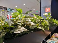 -摩欧客意式餐厅(高新活力汇店)