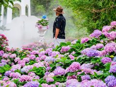 -名花谷生态庄园